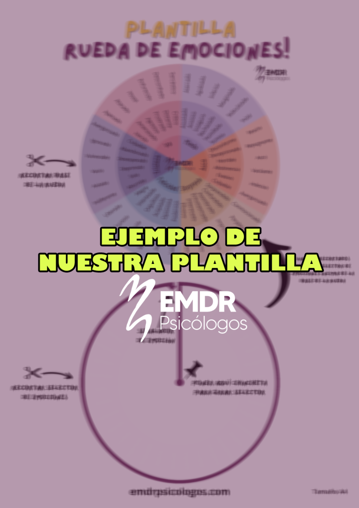 ejemplo plantilla rueda instrucciones