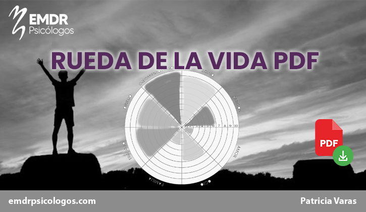 rueda de la vida pdf post